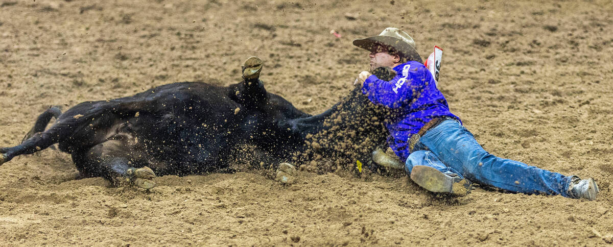 Tyler Waguespack takes down his steer in Steer Wrestling during the final day action of the NFR ...