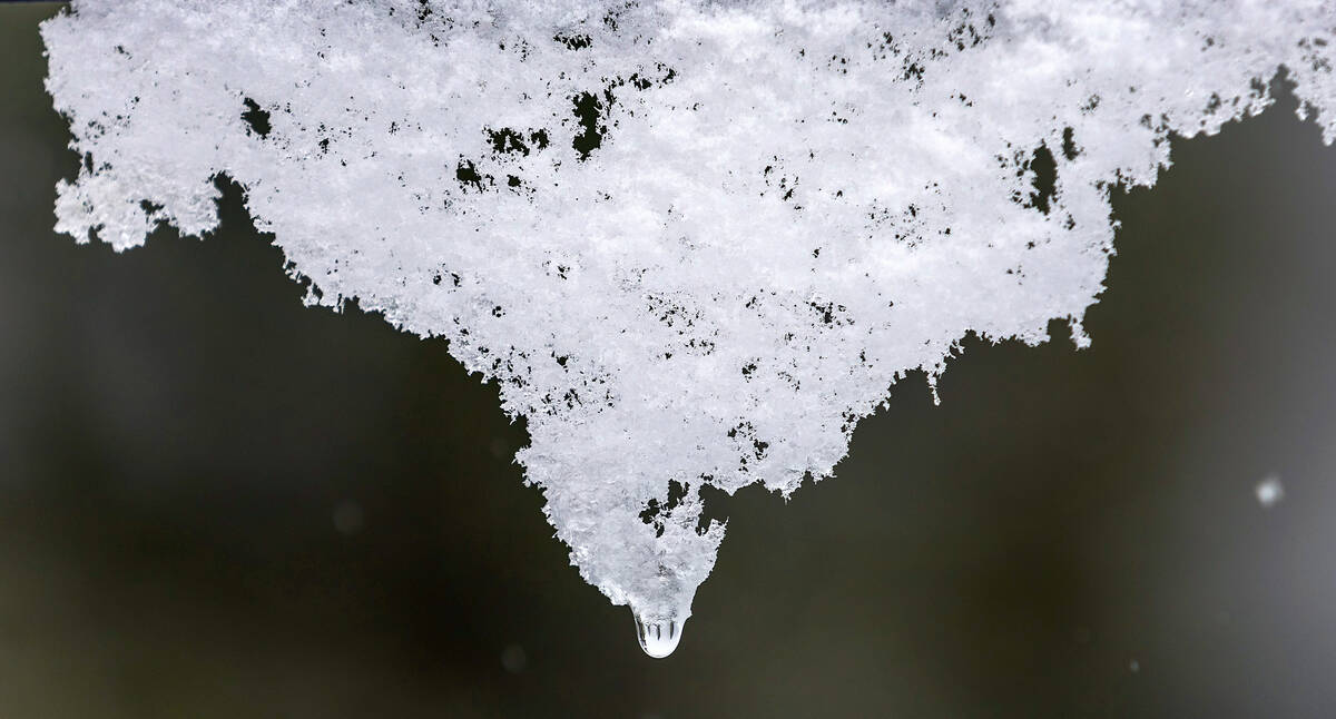 Ice crystals and snow are beginning to pile up along Lee Canyon Road as it continues to snow at ...