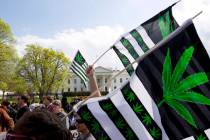 A demonstrator waves a flag with marijuana leaves depicted on it during a protest calling for t ...