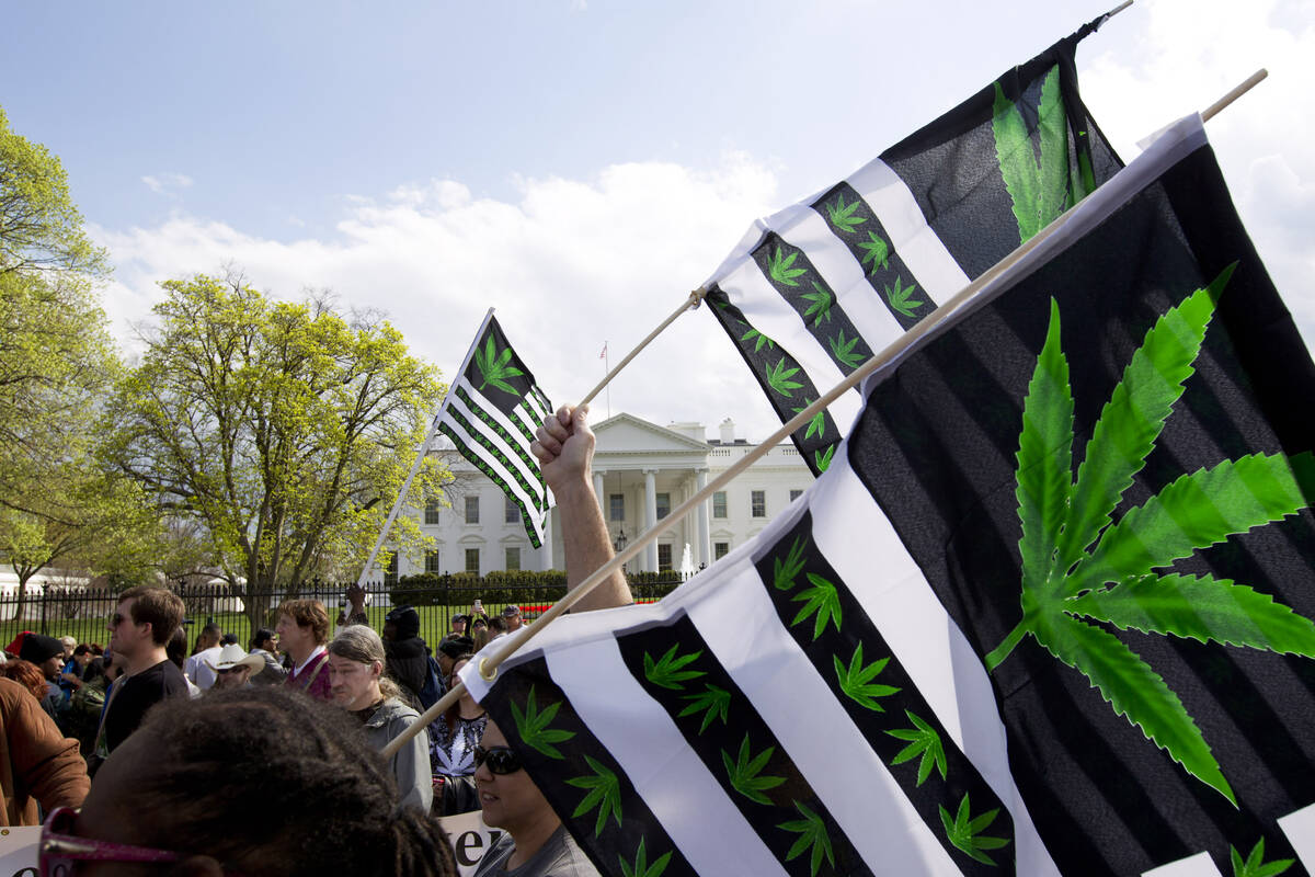 A demonstrator waves a flag with marijuana leaves depicted on it during a protest calling for t ...