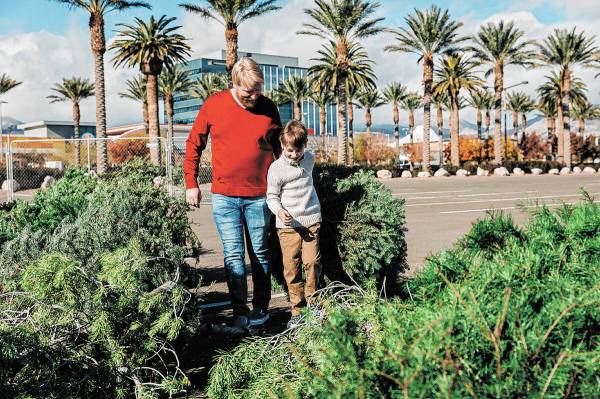 Summerlin Summerlin residents are once again encouraged to recycle their real Christmas trees t ...