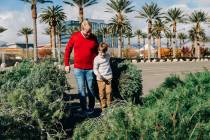 Summerlin residents are once again encouraged to recycle their real Christmas trees this year a ...