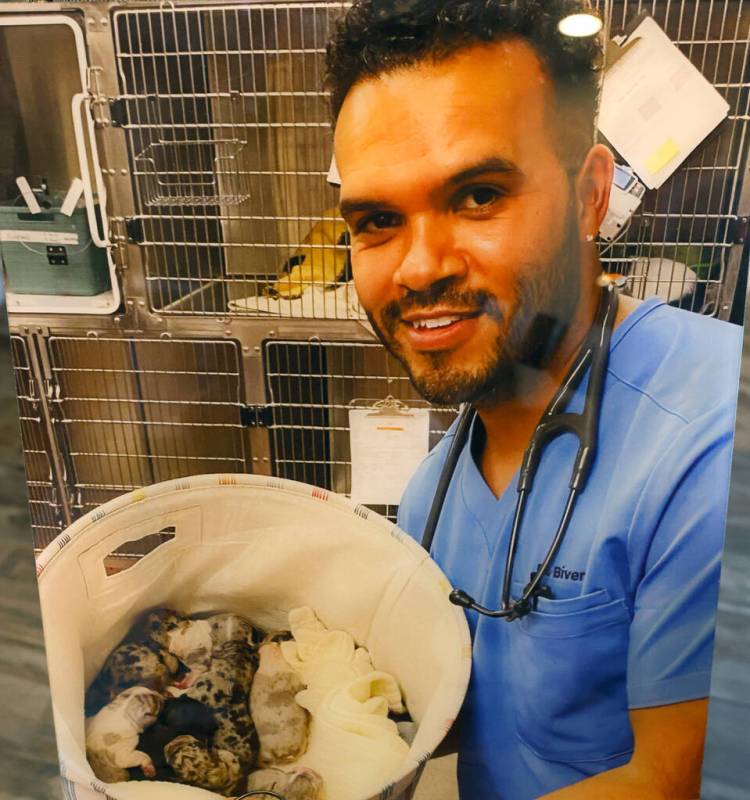 A photograph of the late Dr. Aaron Bivens, holding newborn puppies, is displayed at his Las Veg ...