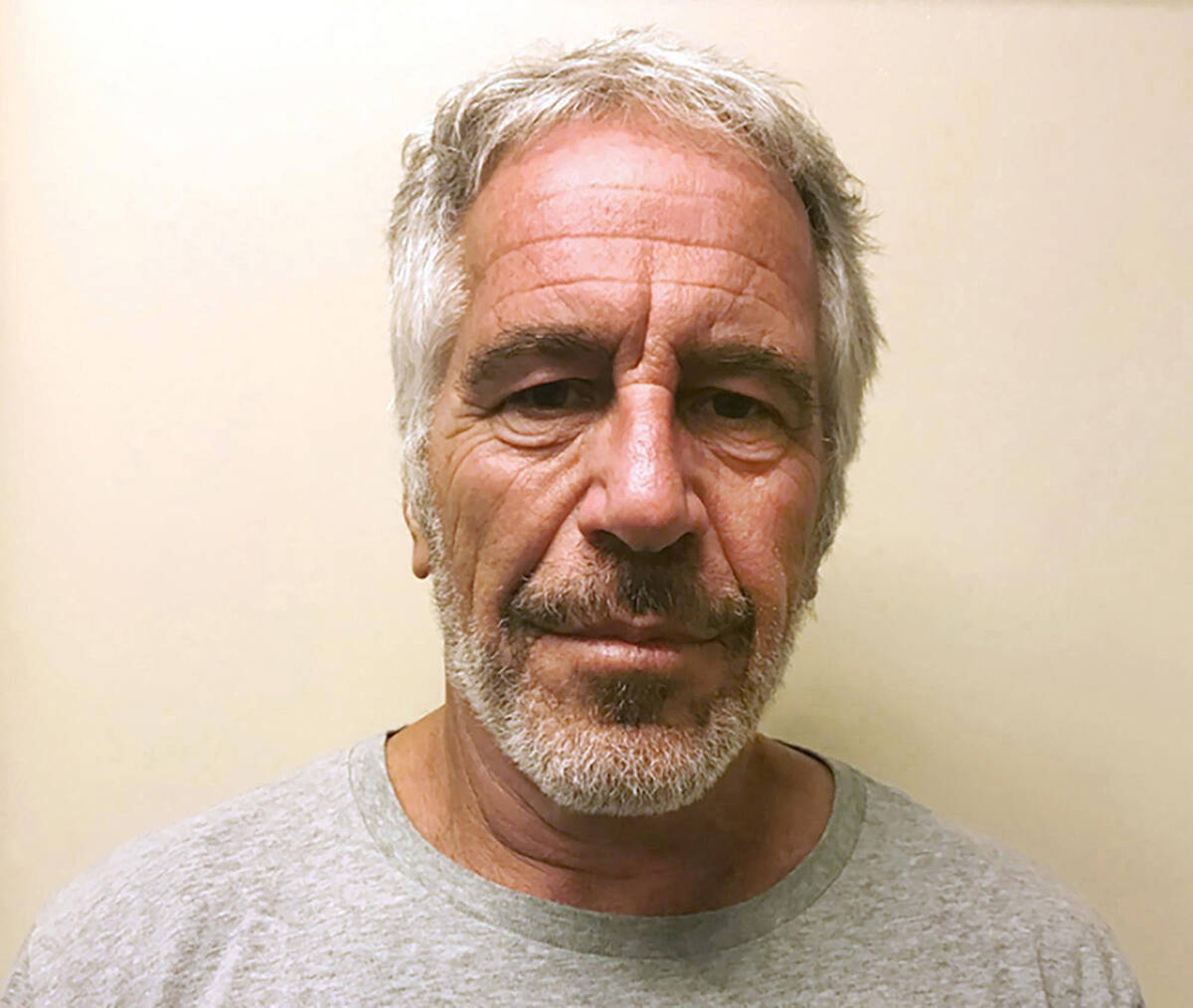 Jeffrey Epstein. (New York State Sex Offender Registry/TNS)