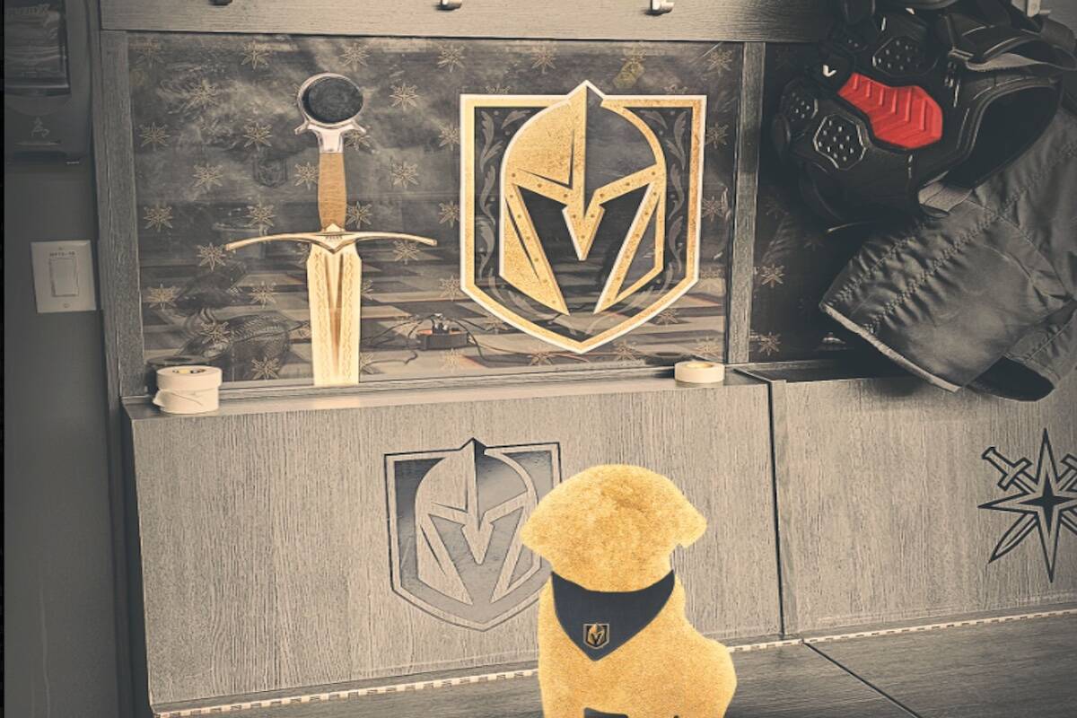 The Golden Knights announced Friday the team will train a service dog that will go to a United ...