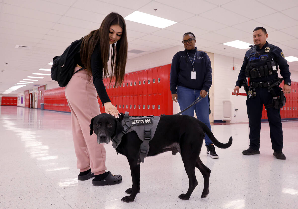 Therapy dog Eddie works with Clark County School District Police Department social worker Moniq ...