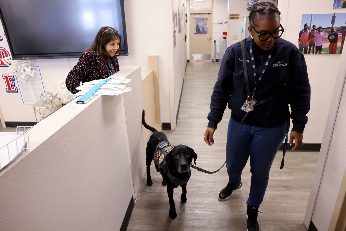 Therapy dog Eddie works with Clark County School District Police Department social worker Moniq ...