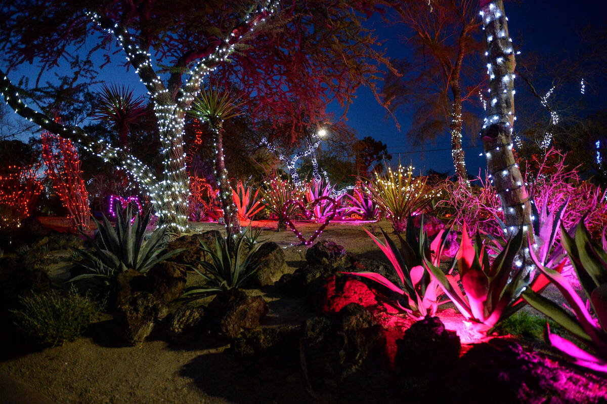 Ethel M's Cactus Garden displays Valentine's Day-themed lights in Henderson, Tuesday, Feb. 12, ...
