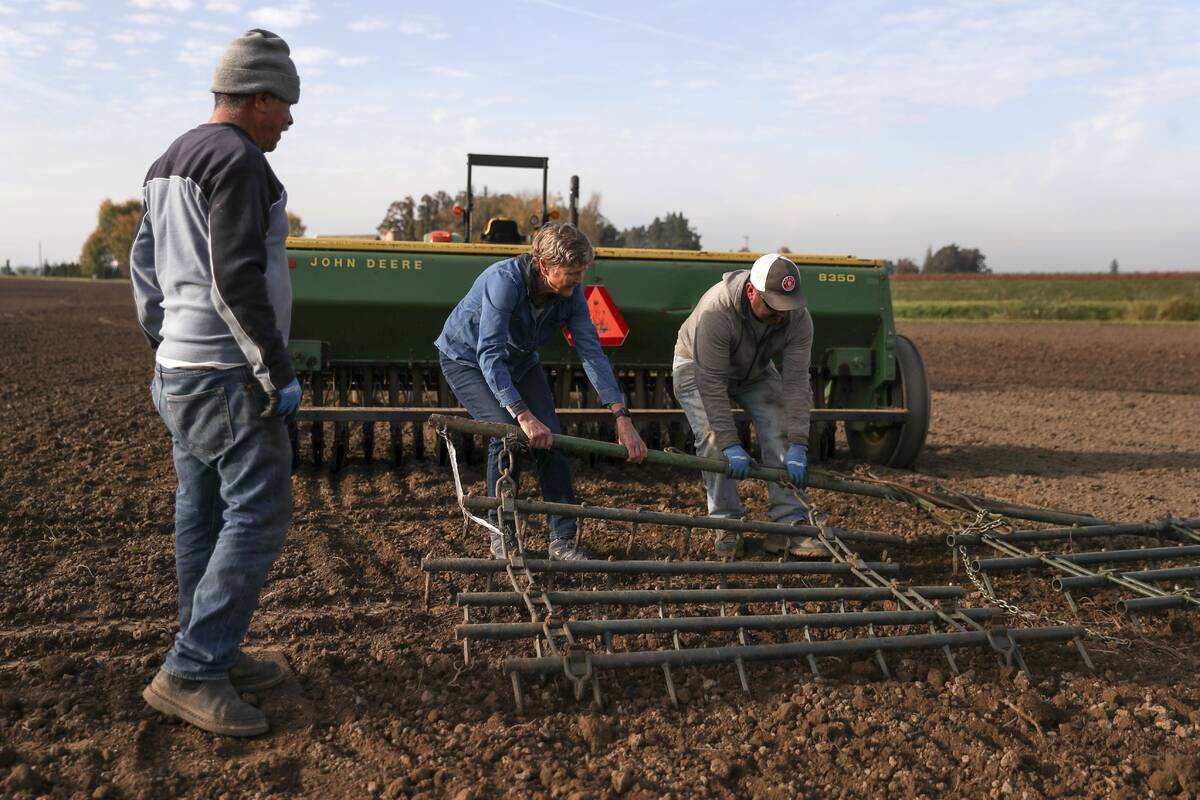 File - Jose Vasquez, left, Gayle Goschie, center, and Eloy Luevanos set up a harrow behind a gr ...