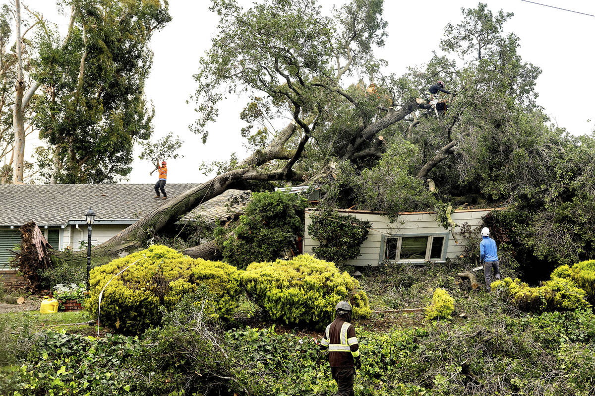 Workers clear a tree that fell onto a home during heavy wind and rain on Sunday, Feb. 4, 2024, ...