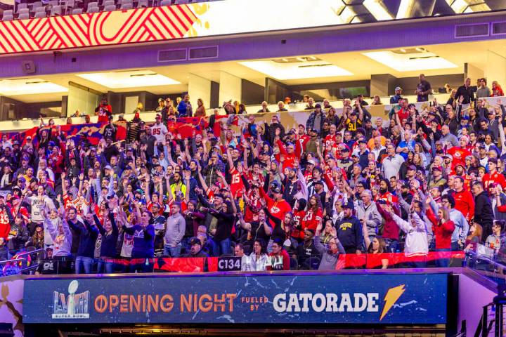 Fans stand and cheer by request of the Blue Man Group during the Super Bowl Opening Night celeb ...