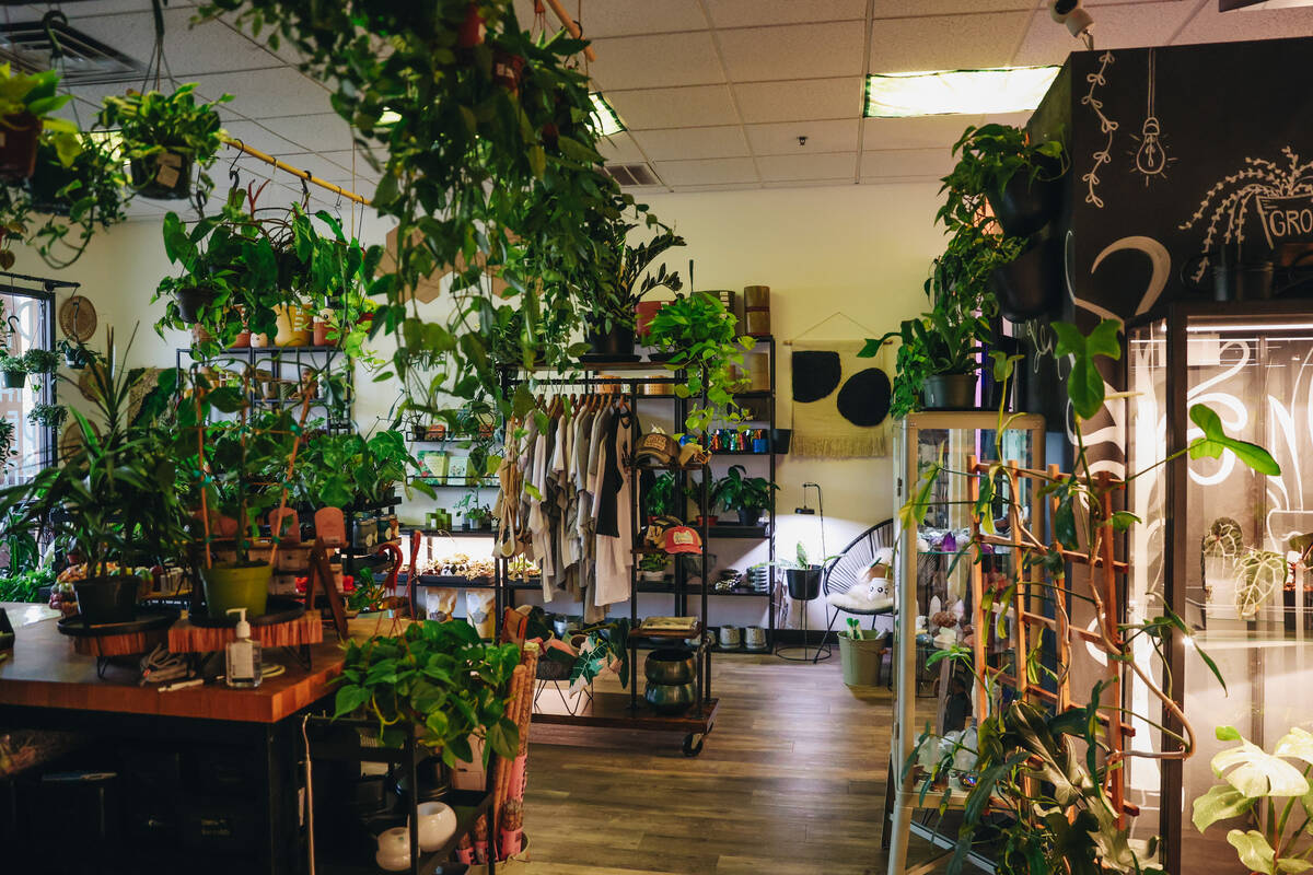 Rooting For You, a plant store, is seen on Friday, Feb. 16, 2024, in Las Vegas. (Madeline Carte ...