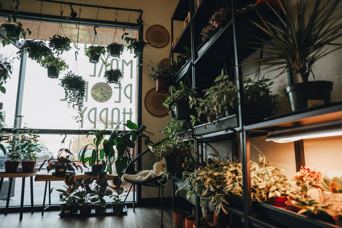 Rooting For You, a plant store, is seen on Friday, Feb. 16, 2024, in Las Vegas. (Madeline Carte ...