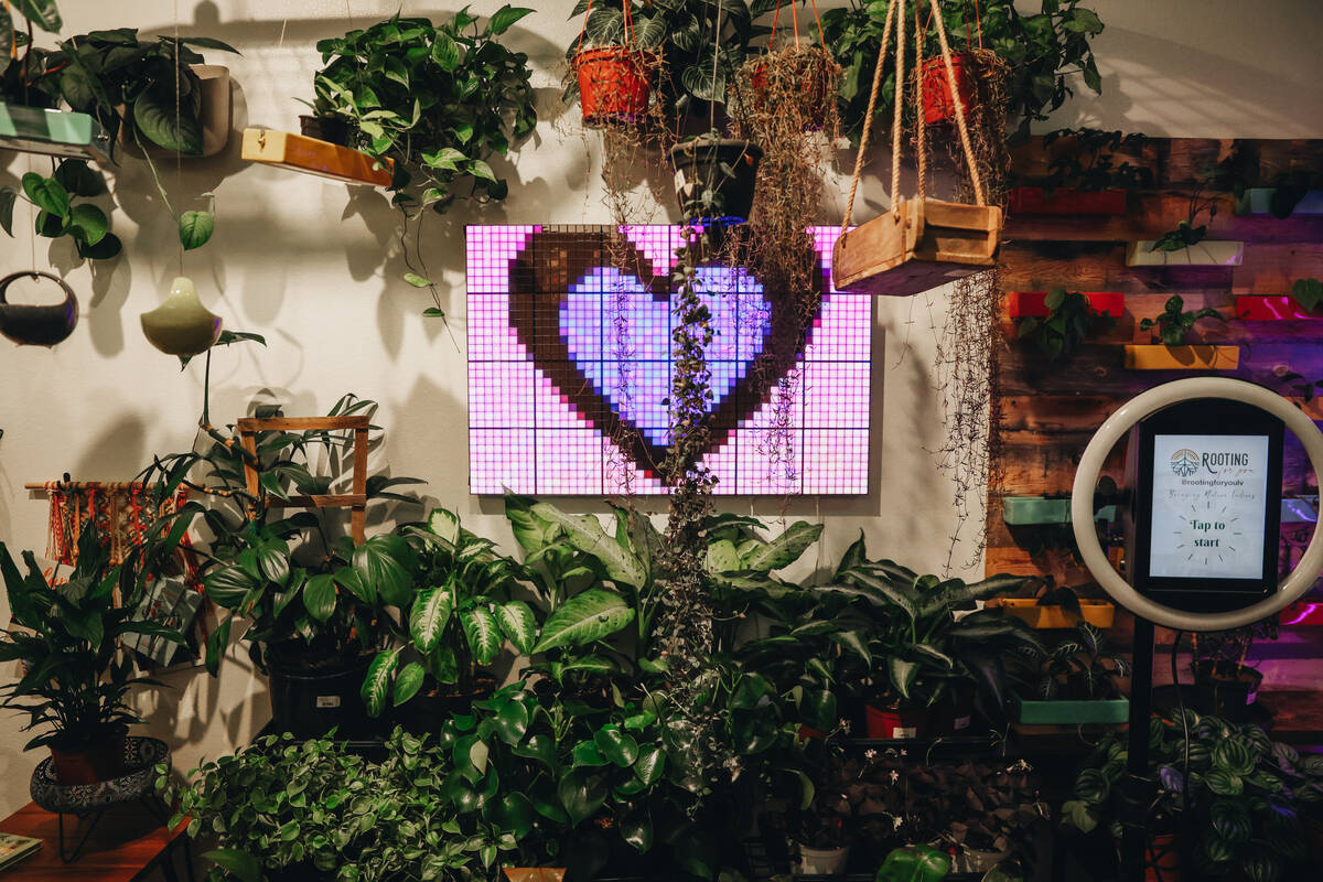 Rooting For You, a plant store, is seen on Friday, Feb. 16, 2024, in Las Vegas. (Madeline Carte ...