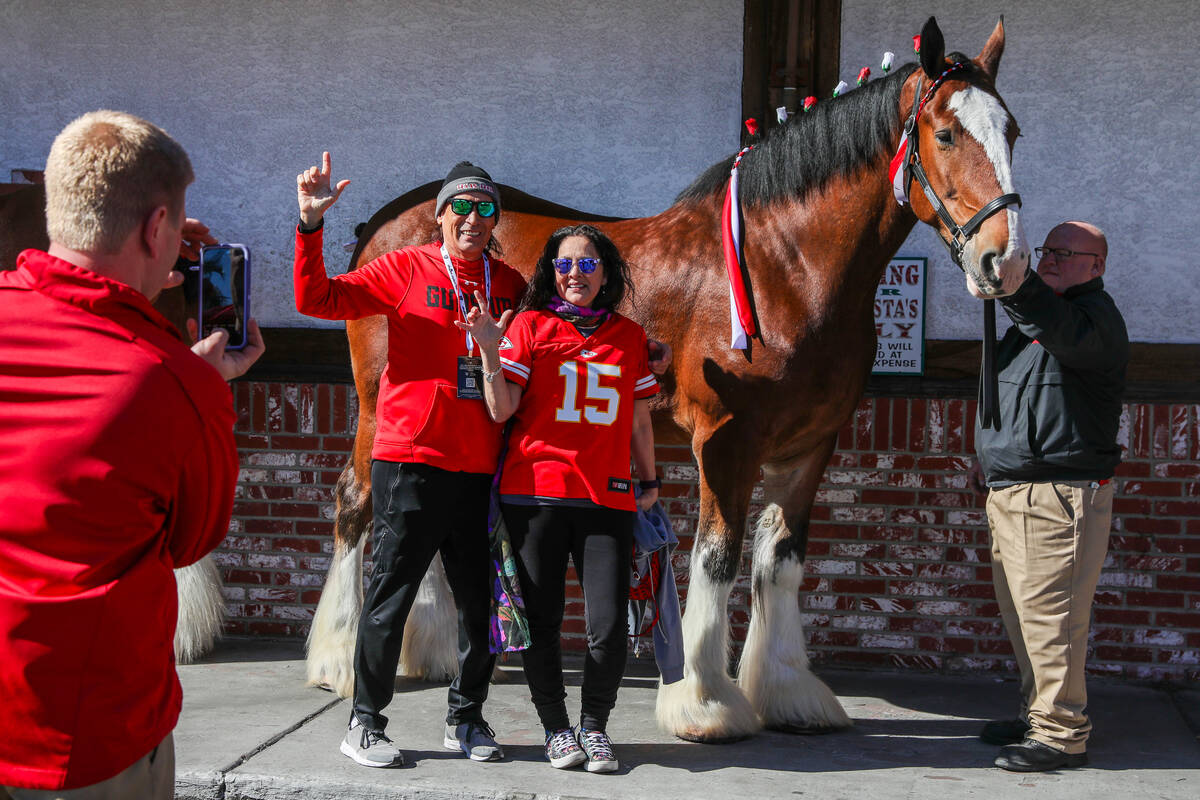 Steve and Lyn Moreno from Texas take pictures with Clydesdale horses on Sunday, Feb. 11, 2024 i ...