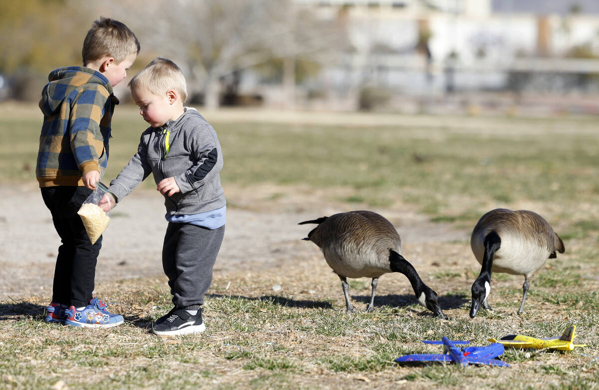 Tyler Hatch, 4, and his brother Colton, 2, feed birds at Aliante Natural Discovery Park during ...