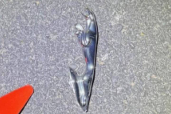 Police say this hood ornament from a 2001-2009 Jaguar X-Type vehicle was from a vehicle in conn ...