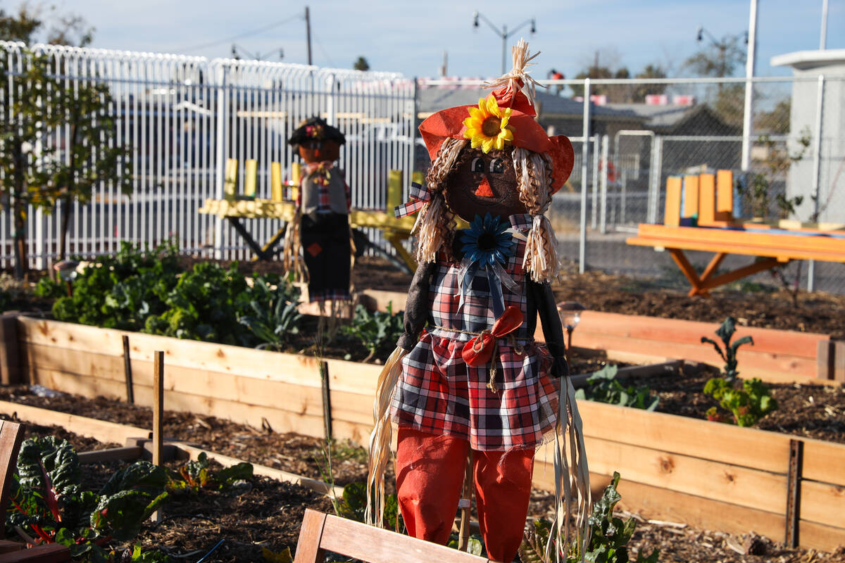 The Obodo Collective Urban Farm, as seen on Monday, Dec. 4, 2023 in Las Vegas. (Daniel Pearson/ ...