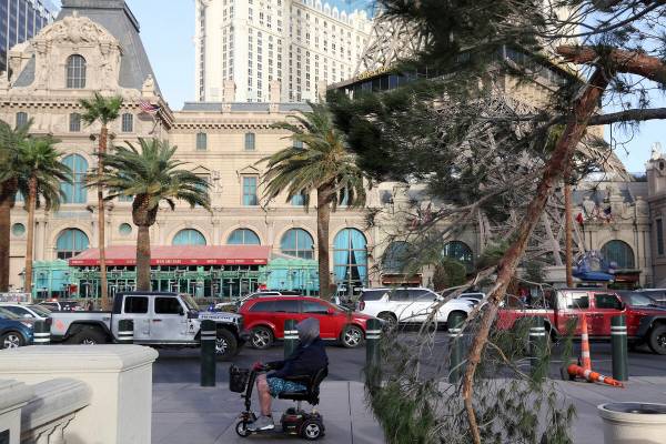 A tree branch is broken at the Bellagio Fountain as a high wind warning is in effect on Saturda ...