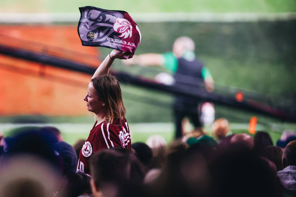 A Sea Eagles fan gets pumped up during a rugby match between the Sea Eagles and Rabbitohs at th ...