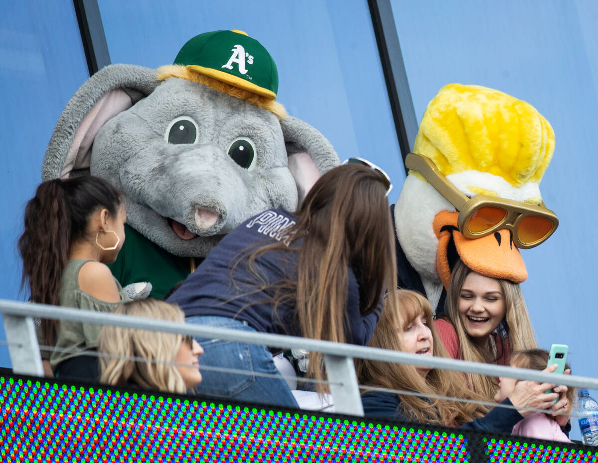 Oakland Athletics mascot "Stomper," left, and Aviators mascot "Spruce" ente ...