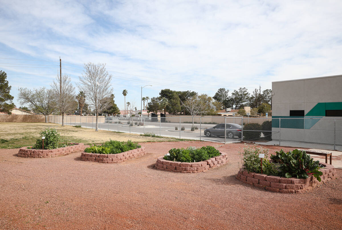 A garden made in partnership with Green Our Planet is seen at Elaine Wynn Elementary School in ...
