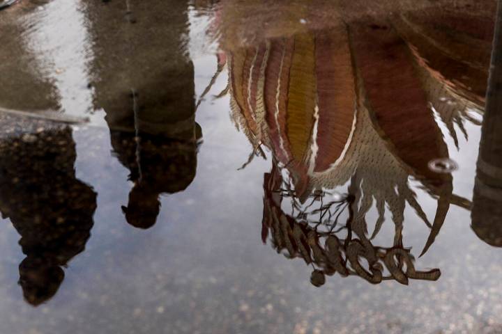 Pedestrians pass by a reflected Flamingo marquee in a puddle along the Strip during a rainy day ...