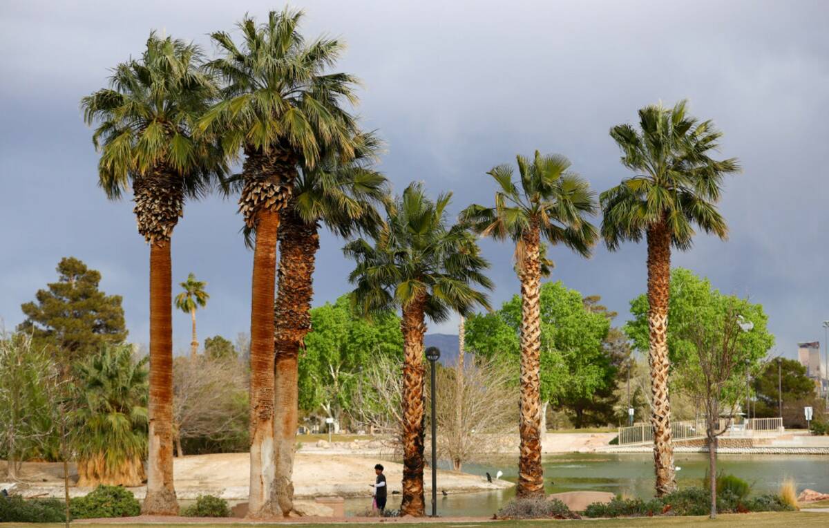 Stormy skies linger over Lorenzi Park on Thursday, March 14, 2024, in Las Vegas. (Ellen Schmidt ...