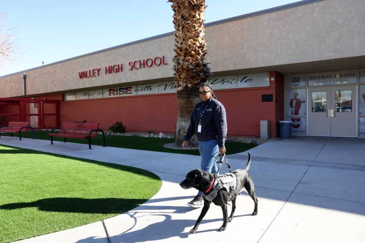 Therapy dog Eddie works with Clark County School District Police Department social worker Moniq ...
