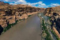 The Colorado River meanders within the Glen Canyon National Recreation Area near the Hite Cross ...