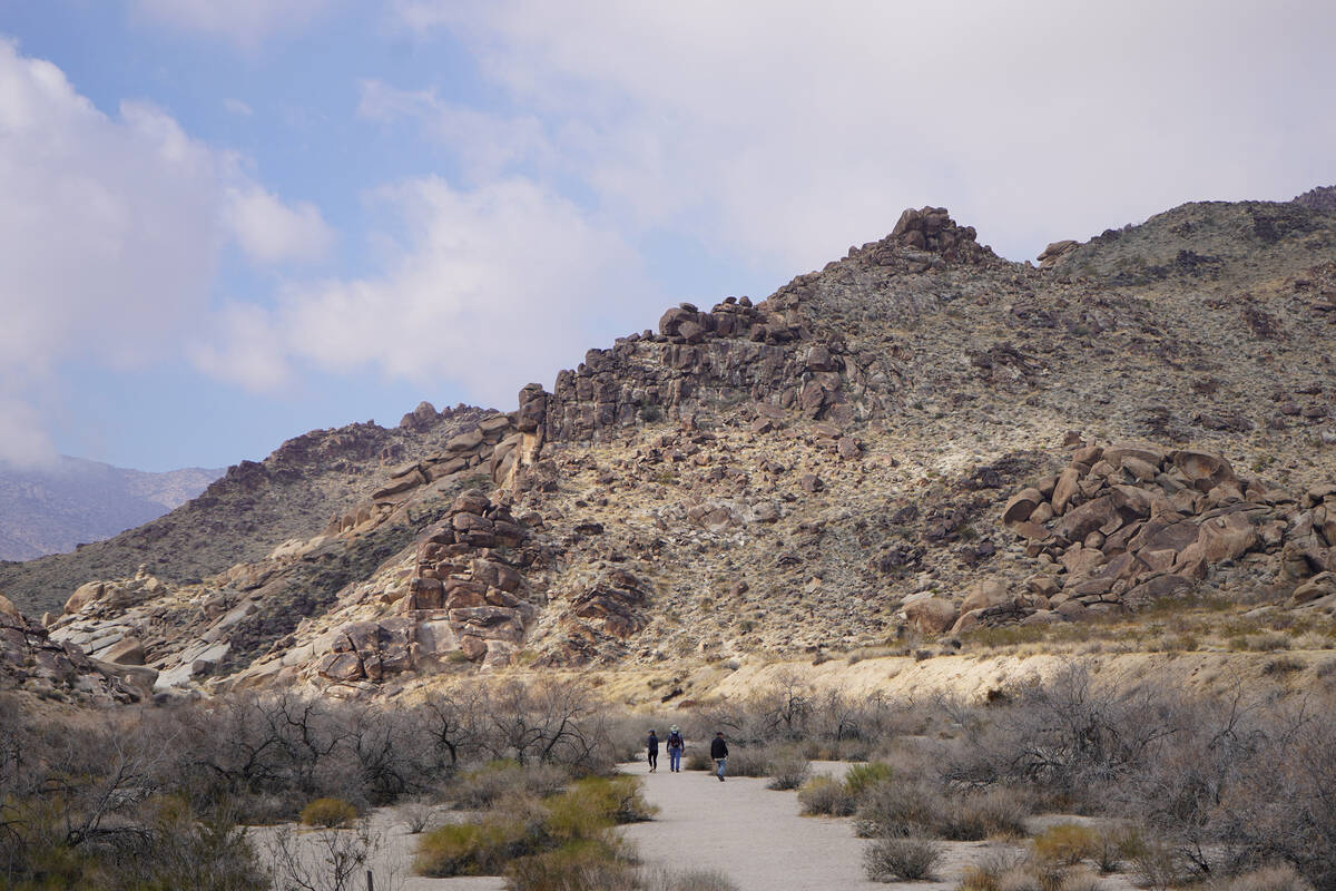 Hikers follow the wash toward Grapevine Canyon, which is packed with panels of petroglyphs and ...