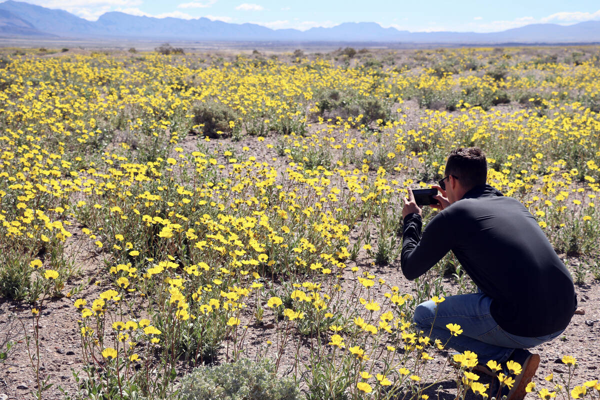 Mason Voehl, executive director of environmental advocacy group Amargosa Conservancy, takes a p ...