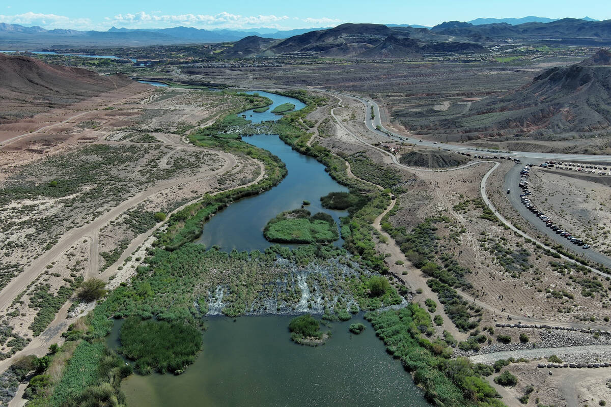 Volunteers take part in the Las Vegas Wash Coordination Committee’s “Wash Green-U ...