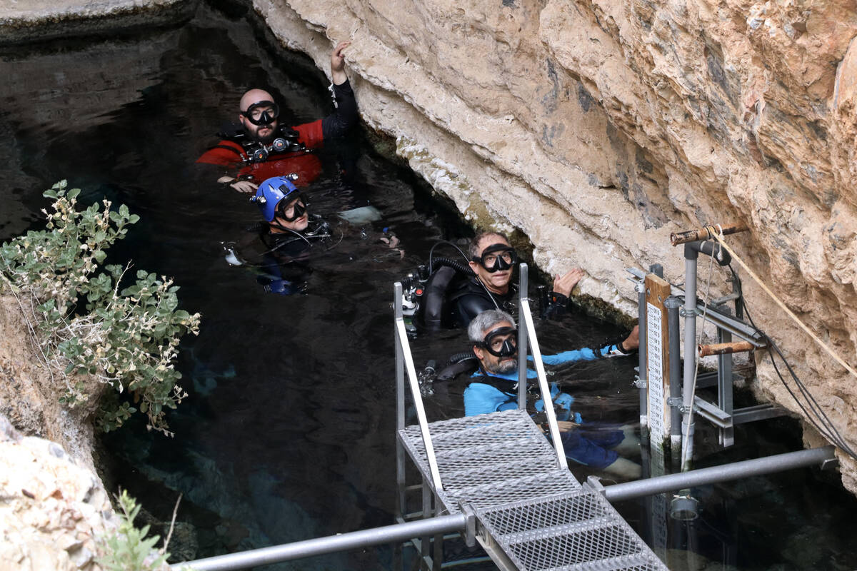 Four divers prepare to count Devils Hole pupfish on the first dive of the day at Devils Hole in ...