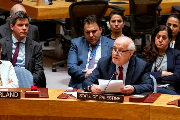 Palestinian Ambassador to the United Nations Riyad Mansour addresses United Nations Security Co ...