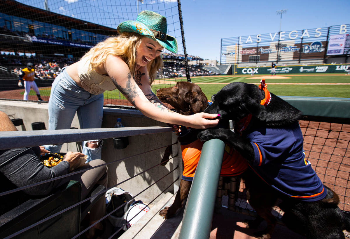 Marin Hanagan, of Las Vegas, greets Aviators bat dogs Lambo, center, and Finn during a basebal ...
