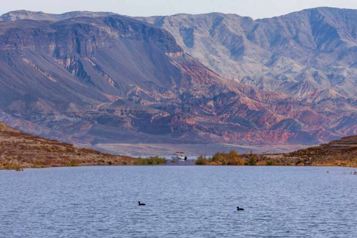 Researchers say Lake Mead’s water, shown here in January, may have cancer-causing chemicals f ...