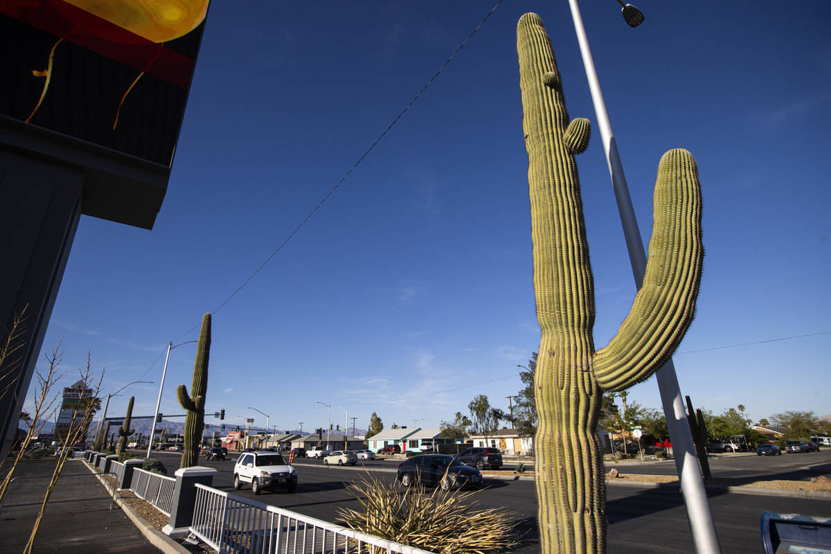 A saguaro cactus is seen outside of Arizona Charlie’s Decatur on Tuesday, April 16, 2024 ...