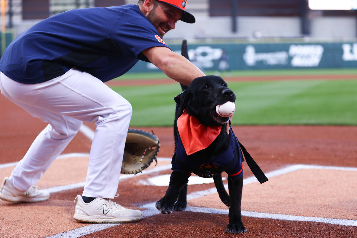 Finn the Bat Dog passes through home plate as he “throws” the first pitch before ...