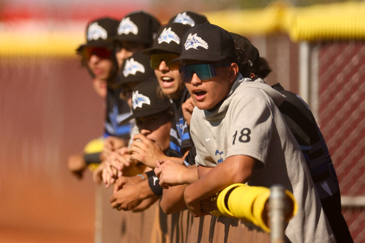 Basic cheers from the dugout during a high school baseball game against Faith Lutheran on Tuesd ...