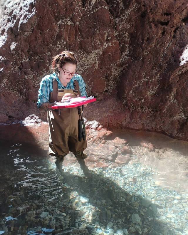 In a provided photo, a resource management staff member from the National Park Service monitors ...