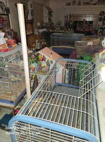 This photo provided by Clark County Animal Protection Services shows the conditions animals wer ...