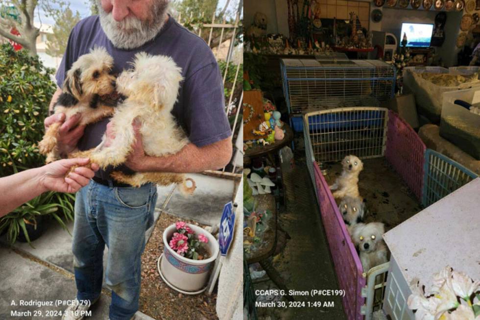 These photos provided by Clark County Animal Protection Services show Timothy Miller holding tw ...
