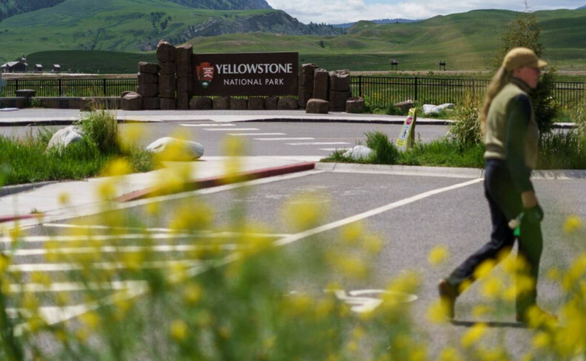 A pedestrian walks past the entrance to Yellowstone National Park, June 15, 2022, in Gardiner, ...