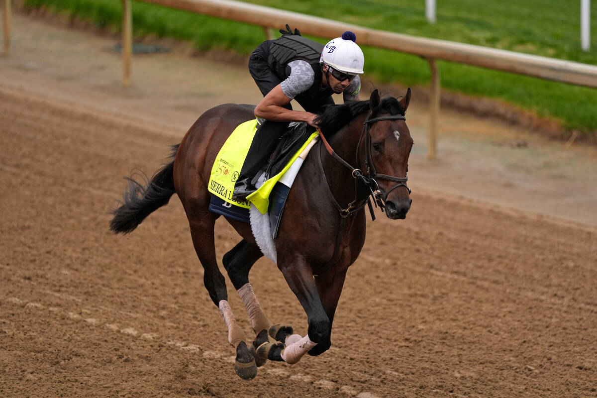 Kentucky Derby hopeful Sierra Leone works out at Churchill Downs Tuesday, April 30, 2024, in Lo ...
