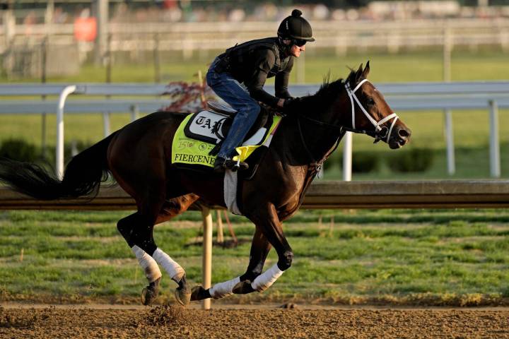 Kentucky Derby hopeful Fierceness works out at Churchill Downs Wednesday, May 1, 2024, in Louis ...