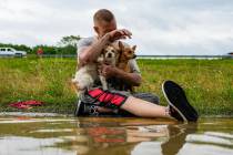 Tim McCanon sits on the road with his dogs after being rescued by the Community Fire Department ...