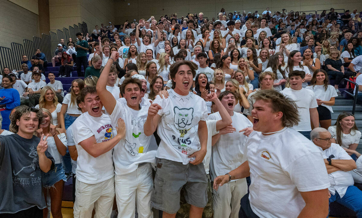 Palo Verde fans cheer for their team against Coronado during the Class 5A boy's volleyball stat ...
