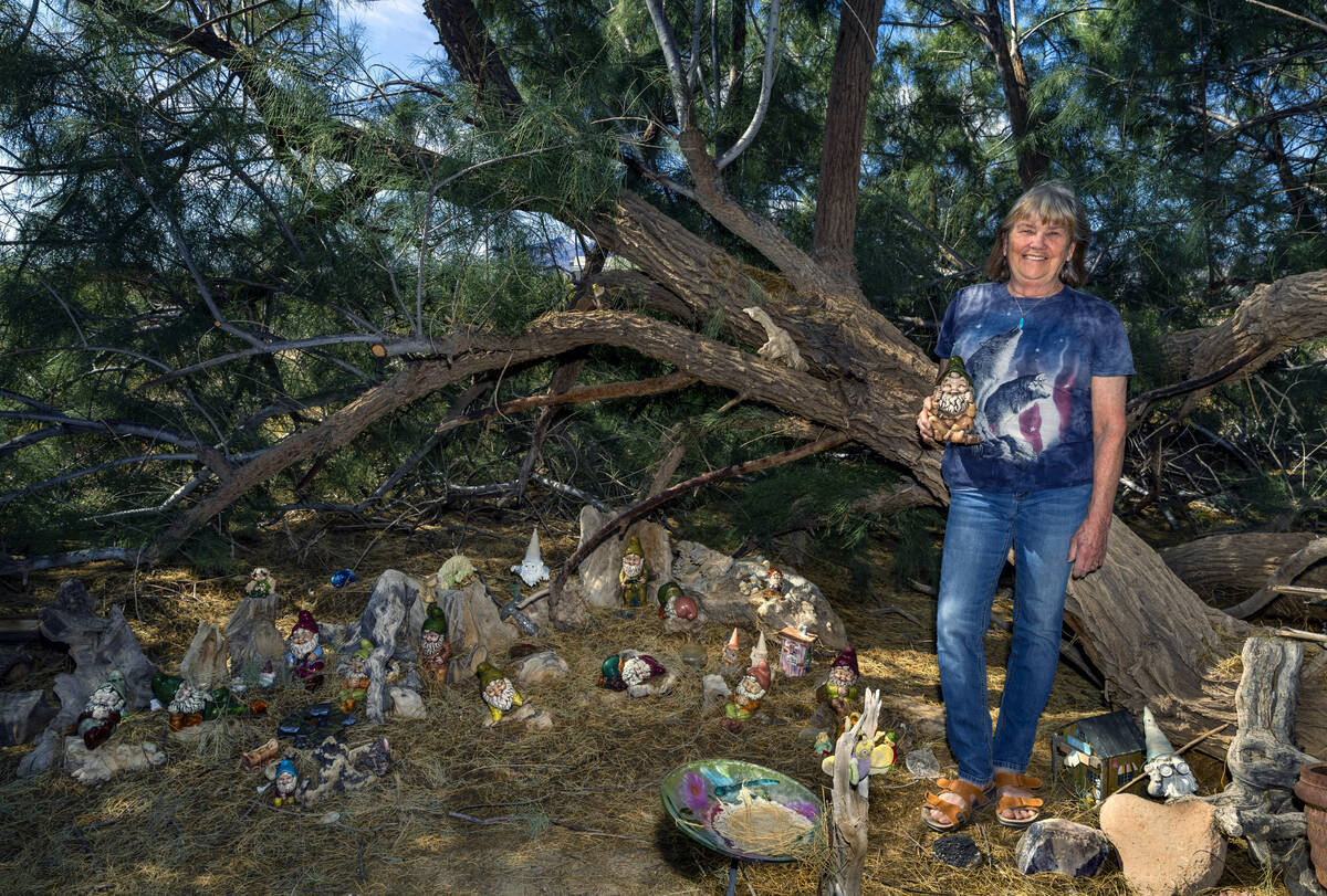 Home owner Judi Faber poses for a photo in a favorite spot on her property on Wednesday, May 15 ...