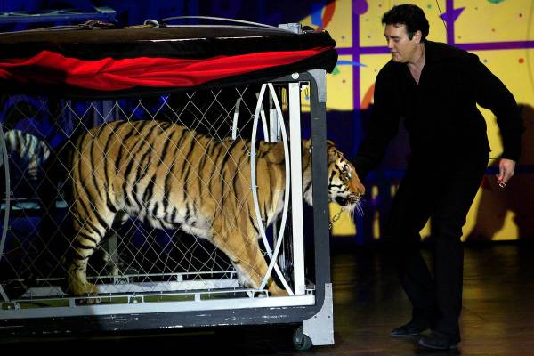 JANE KALINOWSKY/REVIEW-JOURNAL Illusionist Rick Thomas brings out his tiger during his afterno ...